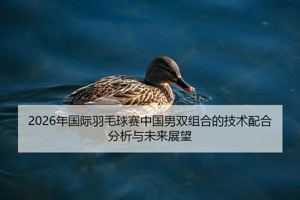 2026年国际羽毛球赛中国男双组合的技术配合分析与未来展望